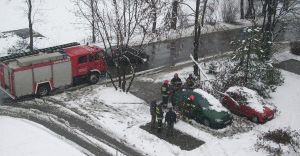 Mokry nieg amie drzewa