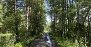 Rusza wielkoobszarowa inwentaryzacja lasw prywatnych
