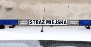 Zaparkowane na poboczu Audi byo kradzione i brao udzia w rozbojach