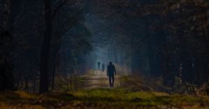 Foto-dnia: Czechowice-Dziedzice i okolice okiem dziennikarzy czecho.pl