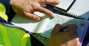 Drogwka dzi patroluje miejsca niebezpieczne dla pieszych
