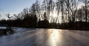 Foto-dnia: spacerem po Broyskach, w okolicy staww