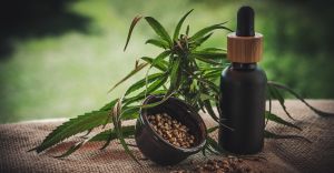 Olejek CBD - moc konopii siewnych
