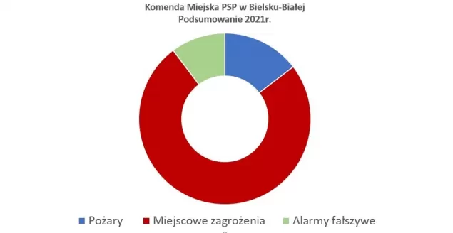 Czecho Pl Interwencji Stra Acy Podsumowali Rok