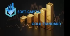 Recenzje Soft Capital! Od pocztkujcego do profesjonalisty