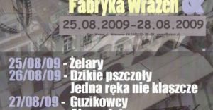 Przegld kina czeskiego w Pszczynie