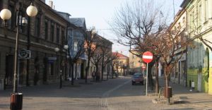 Wulgarny kierowca zatrzymany przez stra miejsk na ul. Sowackiego