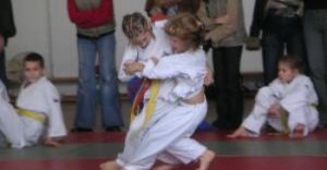 Nabr do sekcji judo