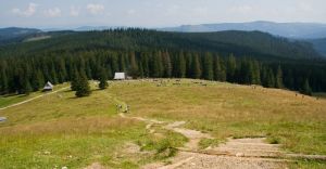 Wyjazd w Tatry z MOSiRem