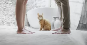Puszysta wykadzina dywanowa shaggy - gdzie si sprawdzi?