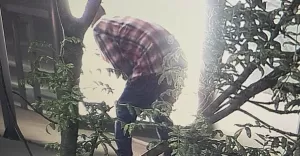 Zniszczy mienie publiczne. Odpowie te za inne wykroczenia