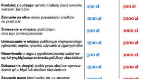 Grzywny za grzeszki wzrosn podwjnie