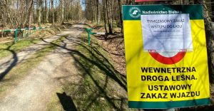Obowizuje tymczasowy zakaz wstpu do lasw i Parkw Narodowych