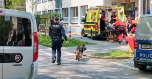 [FOTO, WIDEO] Atak noownika przy szkole. Ranna 12-letnia dziewczynka!
