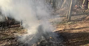 Stra miejska przypomina o zakazie spalania odpadw zielonych