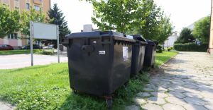 100 zotych kary dla mczyzny, ktry wyrzuci mieci na trawnik