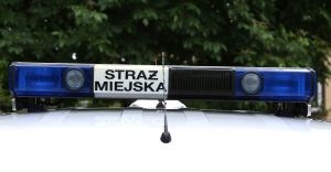 Zaatwia potrzeby na ul. Sowackiego, zauway go patrol SM