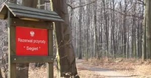 Do ktrego rezerwatu na spacer? Odpowie na to specjalna baza