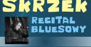 Recital bluesowy w sali widowiskowej