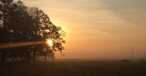 Foto-dnia: jesienny wschd soca w Ligocie