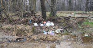 Jest odpowied burmistrza ws. zamiecania Grnego Lasu