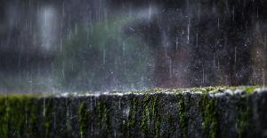 Zbiorniki na wod - sposb na zmniejszenie zuycia wody