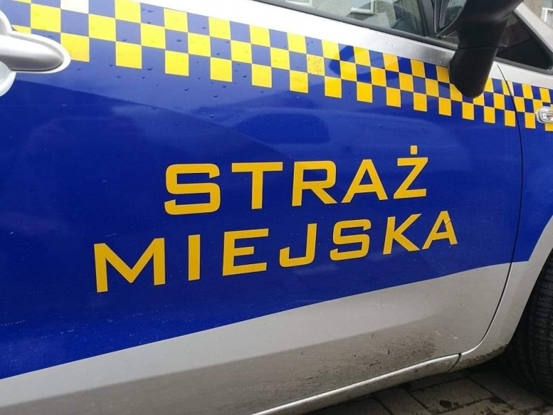 Jechali na motocyklu bez obowiązkowych kasków. Interweniowała straż miejska