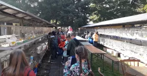 Jesienna wystawa zwierząt