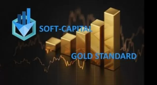 Soft Capital