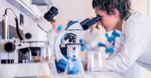 Chromatografia bez kompromisów: gdzie szukać naprawdę solidnego sprzętu?