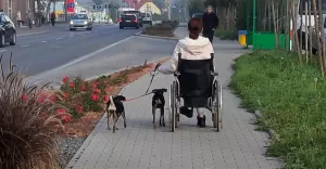 Andżelika
