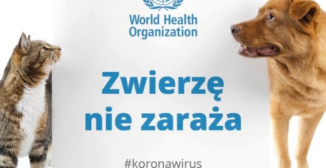 zwierzęta koronawirus