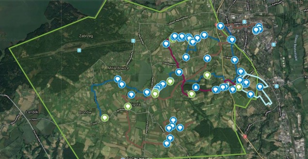 mapa drzewa