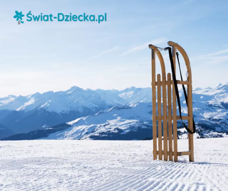 świat-dziecka.pl: sanki