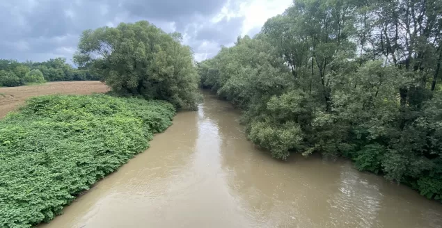 Przekroczony stan ostrzegawczy w Wiśle - 6.08.2021