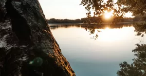 paul nurZC4W8SIw unsplash
