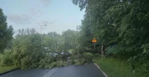 Interwencje strażaków po nocnej burzy. Najwięcej w Bielsku-Białej