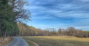 TerazWBronowie,Czechowice,CzechowiceDziedzice,Bronów,Przedwiośnie,Las,LoveCzecho,LoveSilesia,foto