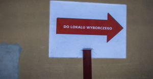 Wybory samorządowe 2014