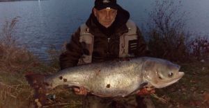 Robert Moc czytelnik