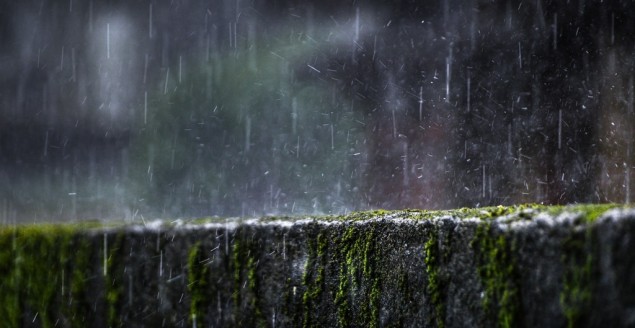 Źródło: unsplash.com