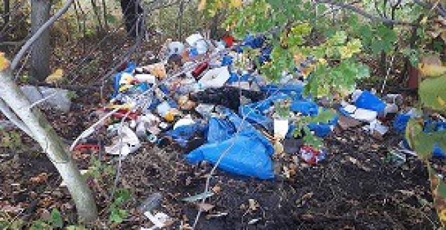 Pionkowa, wysypisko, śmieci