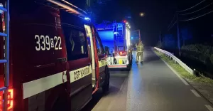 Interwencja służb ratunkowych przy ul. Czechowickiej w Kaniowie - 5.06.2025