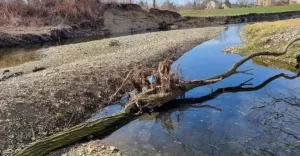 Prace zostaną przeprowadzone m.in. w korycie rzeki Białej, rejonie ulic Junackiej, Rzecznej i Klonowej w Czechowica