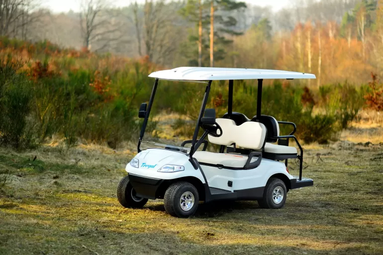 elektryczny wózek golfowy