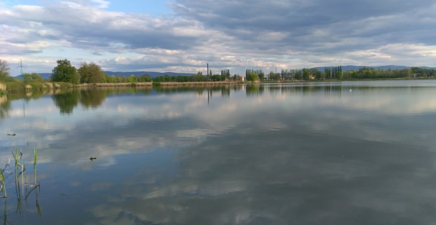 Staw przy kolonii