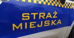 straż miejska, radiowóz
