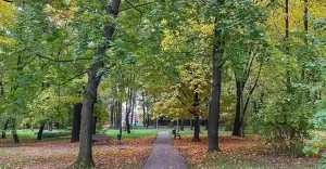 Czechowice,CzechowiceDziedzice,Park,Lasek,Jesień,Październik,Popołudnie,LoveCzecho,LoveSilesia,f