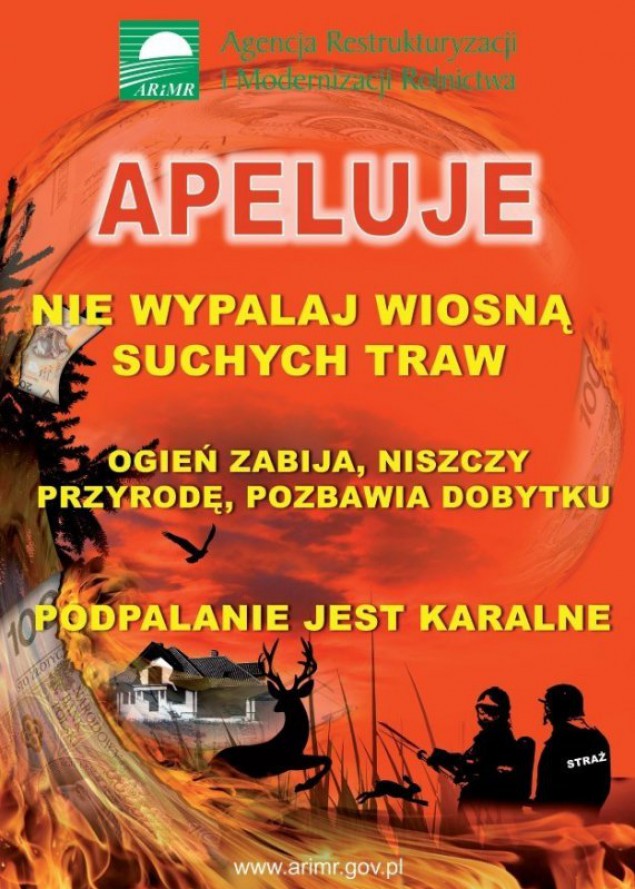 Trawa, pożar