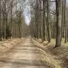 Wideo-dnia: w końcu wiosna! Przyroda budzi się do życia